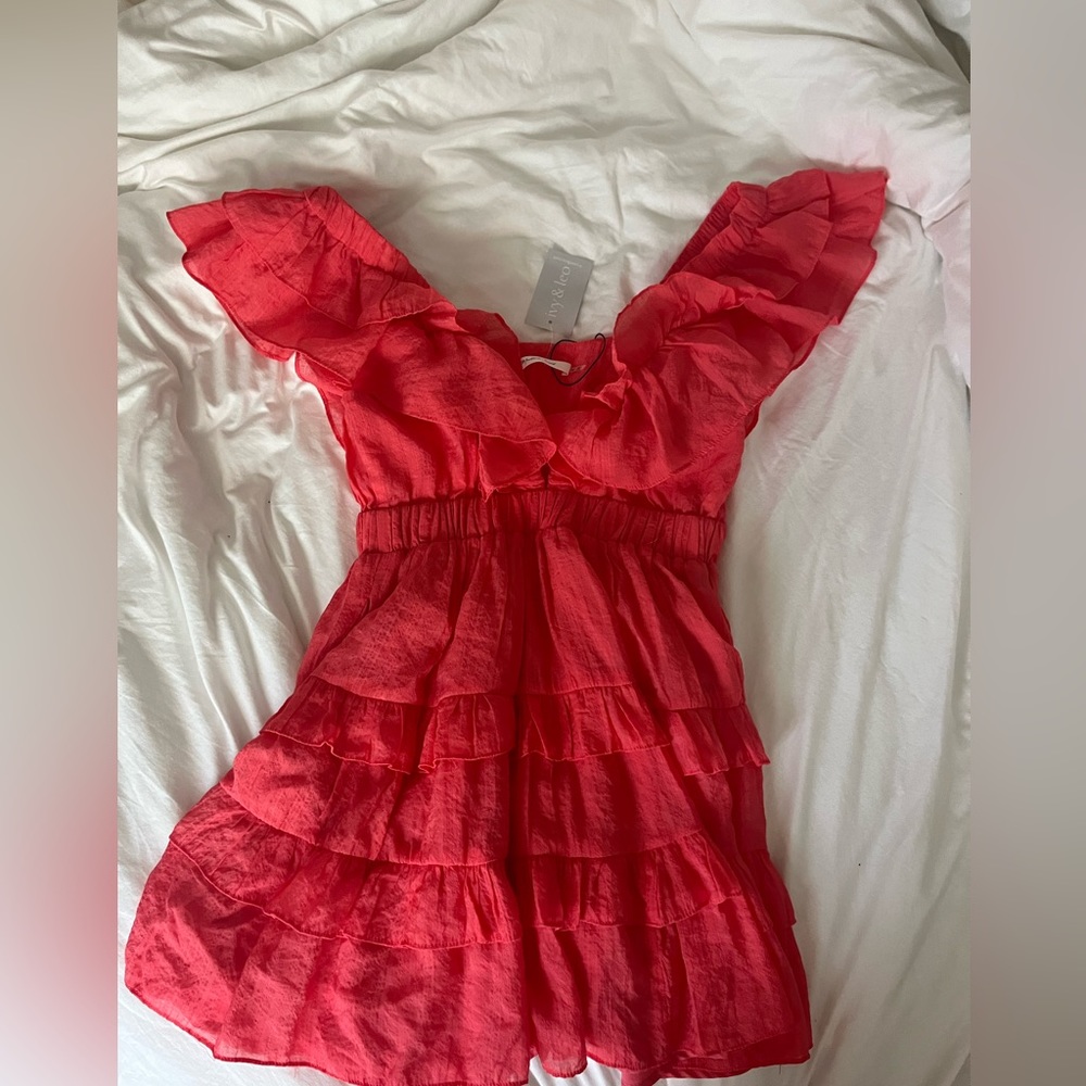 New with tags! Pink ruffle mini dress